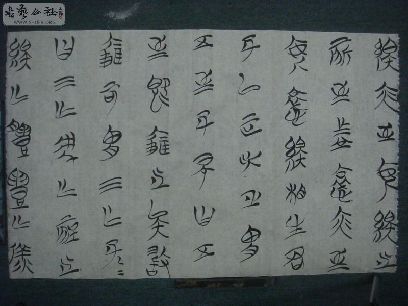 DSC04368.JPG