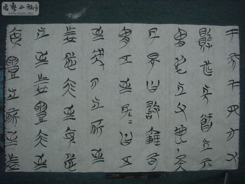 DSC04367.JPG