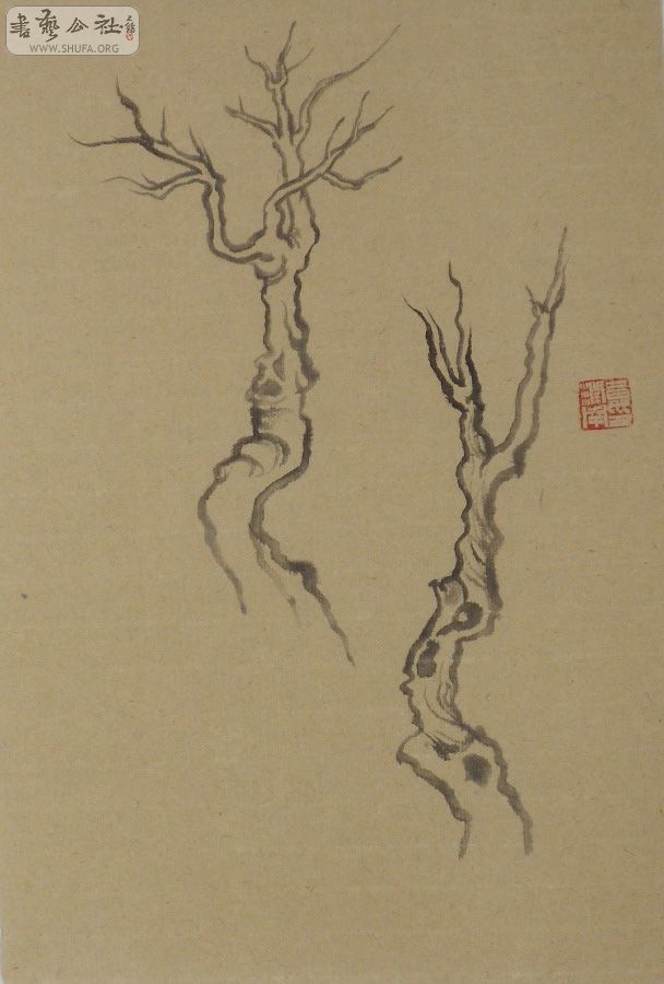 1.1 C 0909 C 01  .jpg
