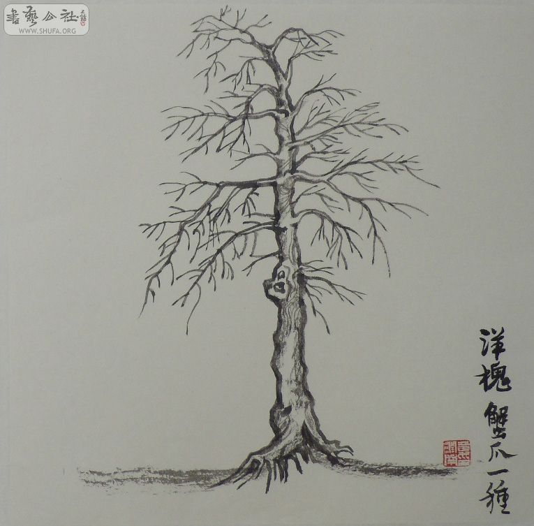 1.1 C 0909 C 06  .jpg