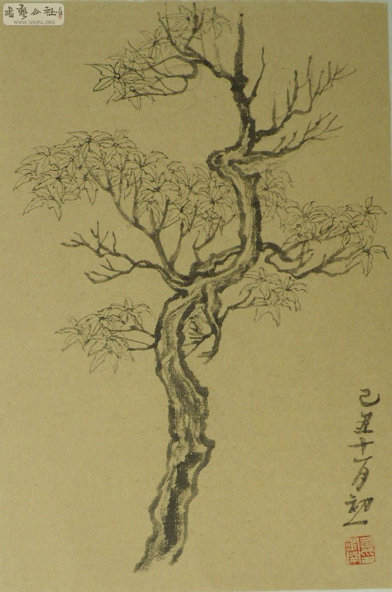 1.1 C 0912C 15  .jpg