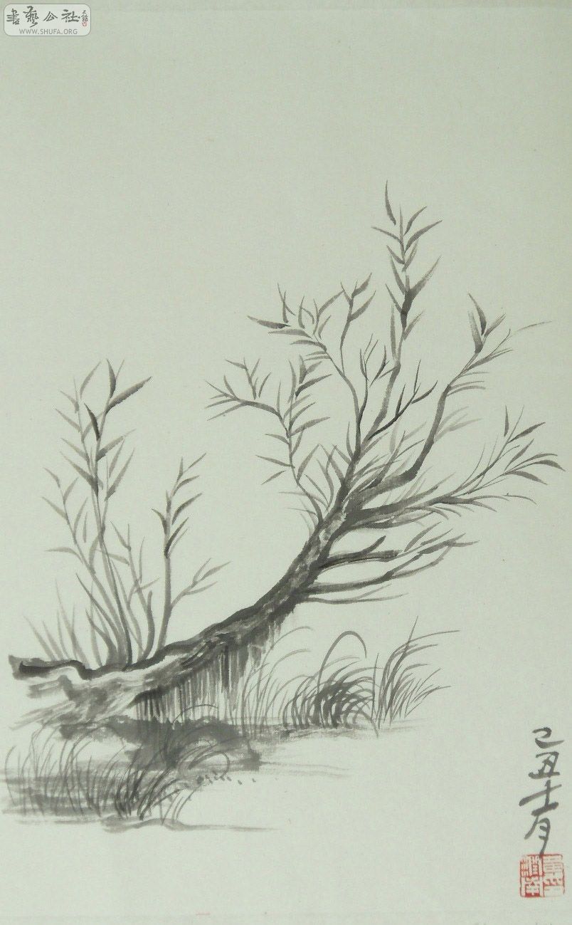 1.1 C 0912C 20  .jpg