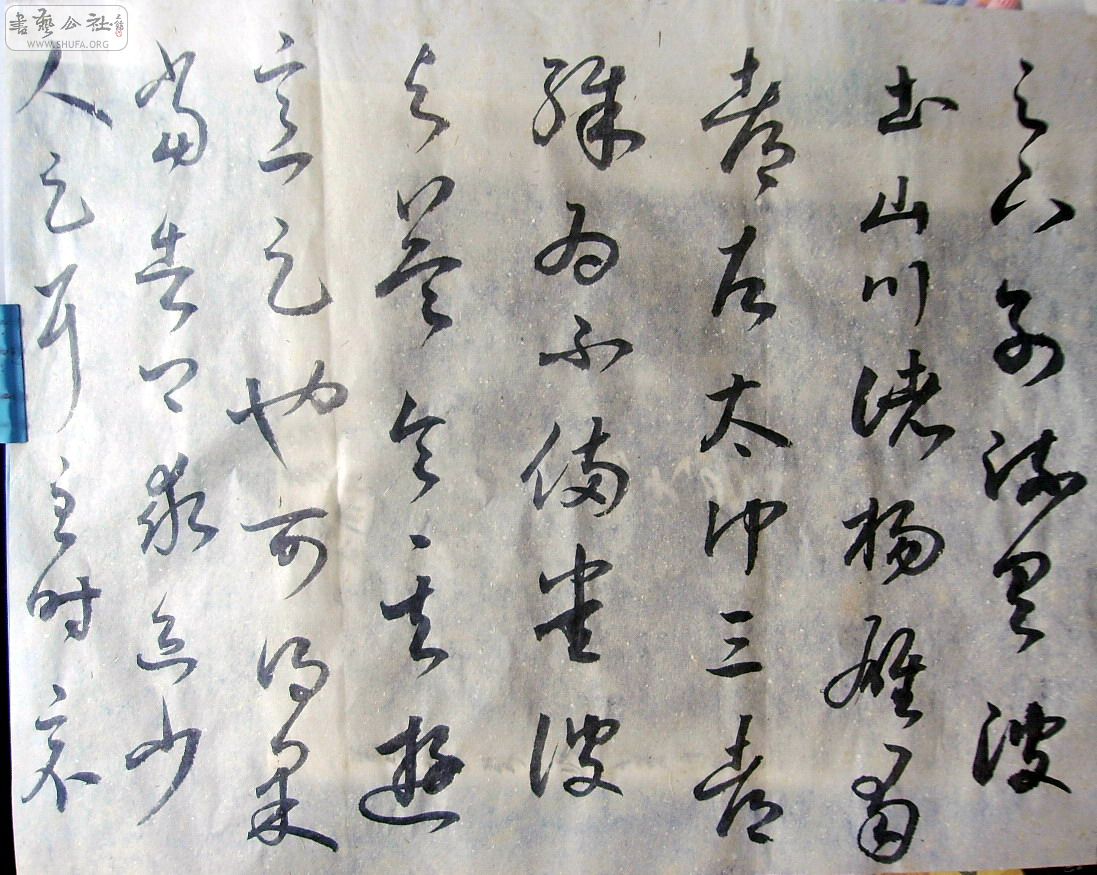 Զ黭 031.JPG