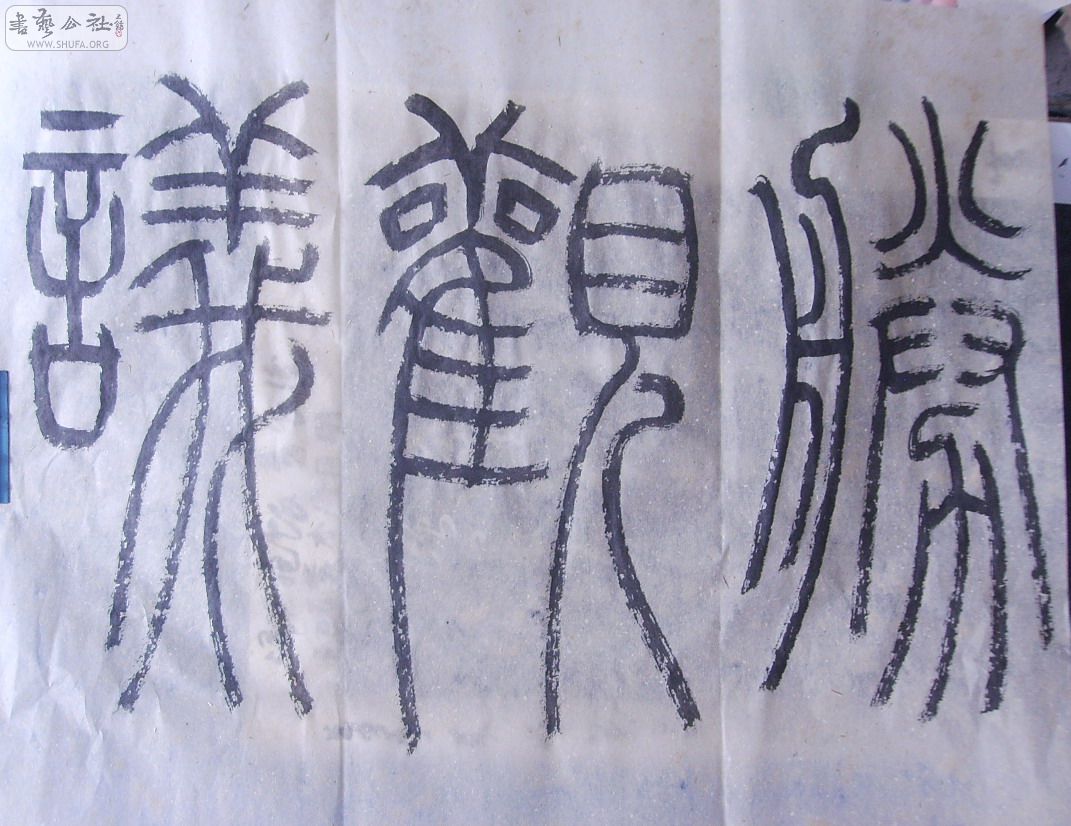 Զ黭 039.JPG