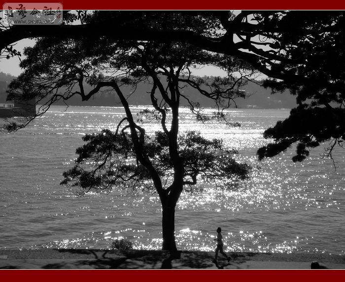 DSCN0196.JPG