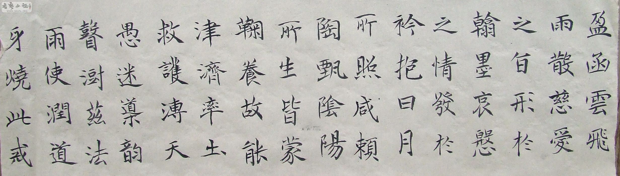 DSCF0690.JPG
