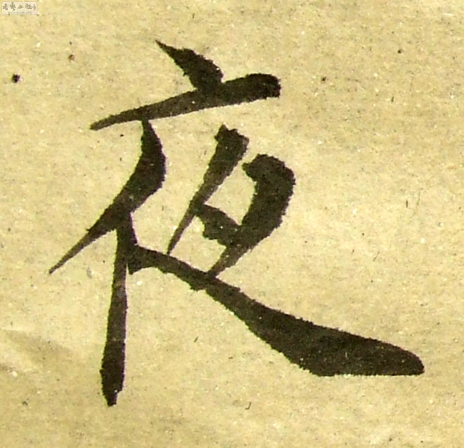 DSCF0724.JPG