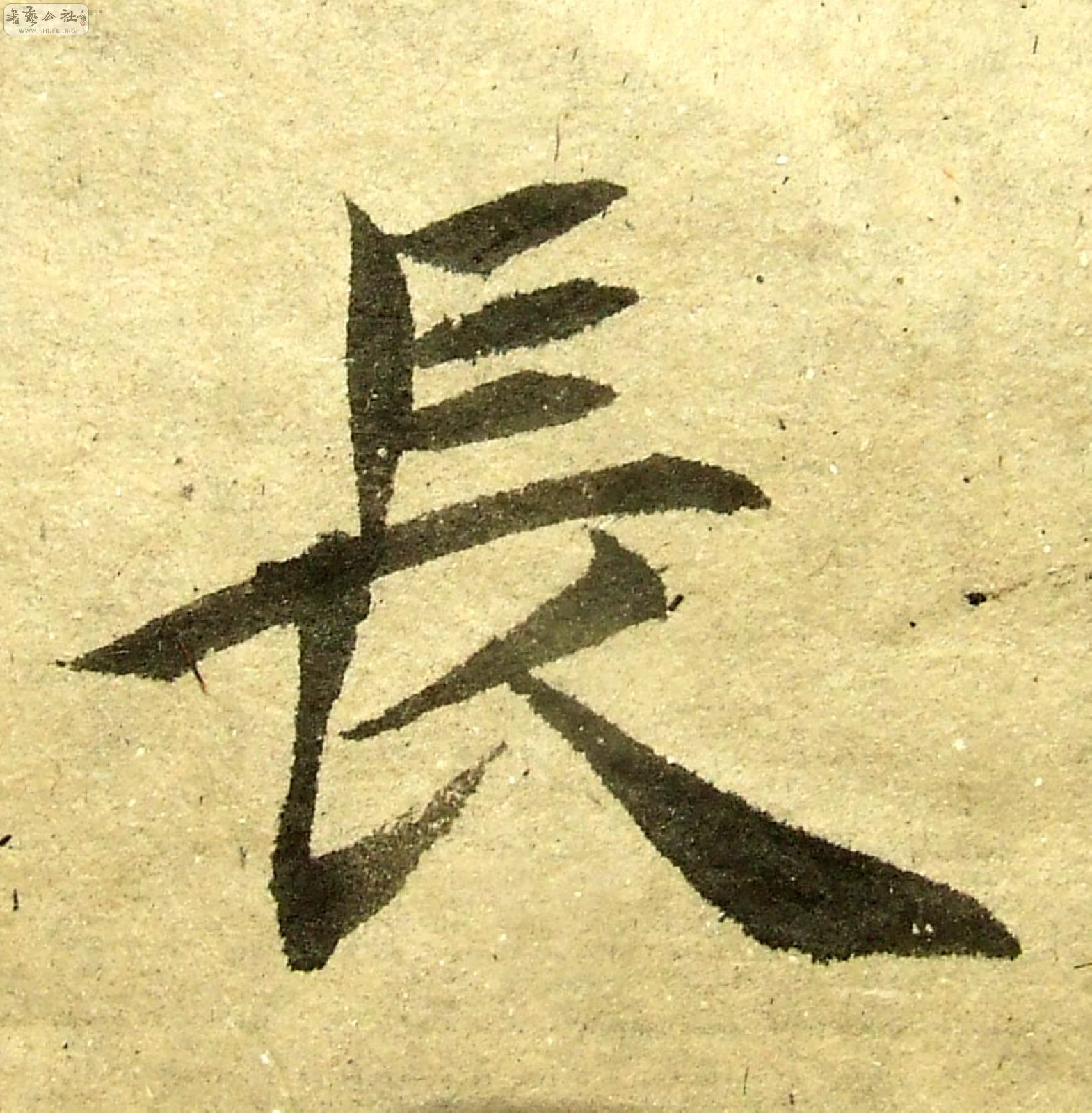 DSCF0733.JPG