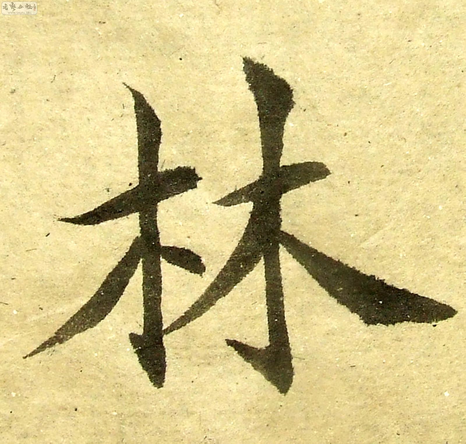 DSCF0744.JPG