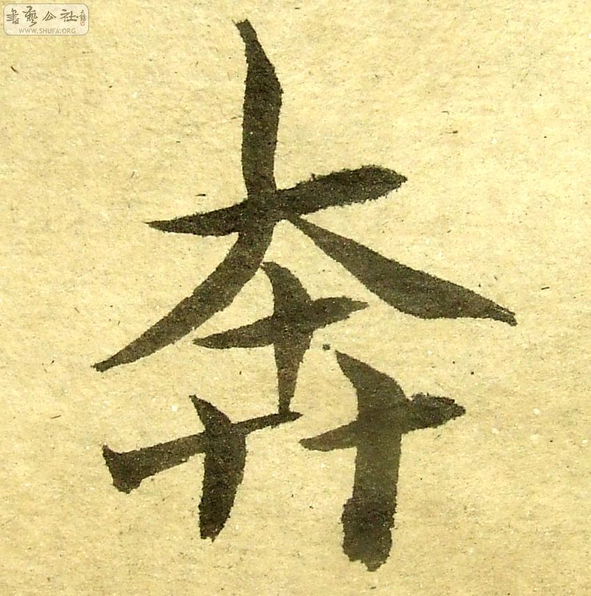 DSCF0755.JPG
