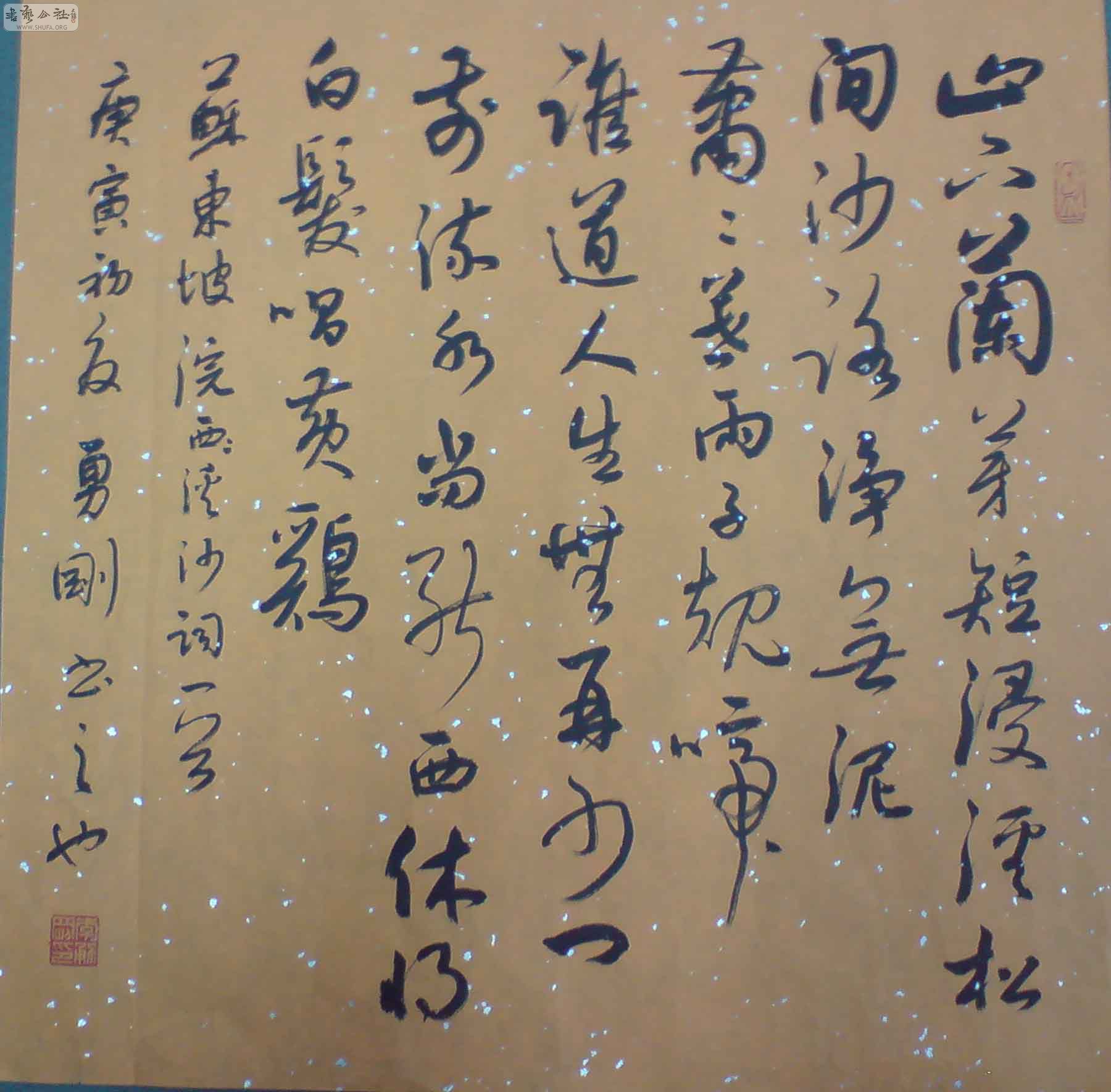 DSC00211.JPG