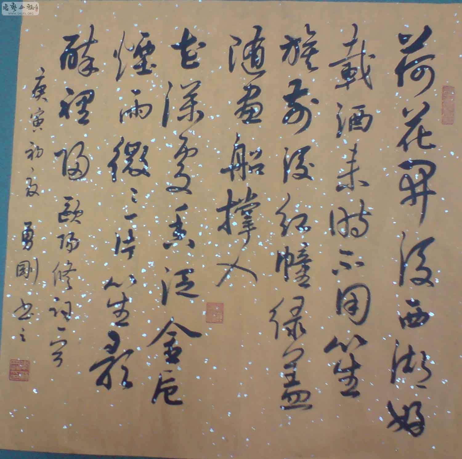 DSC00213.JPG