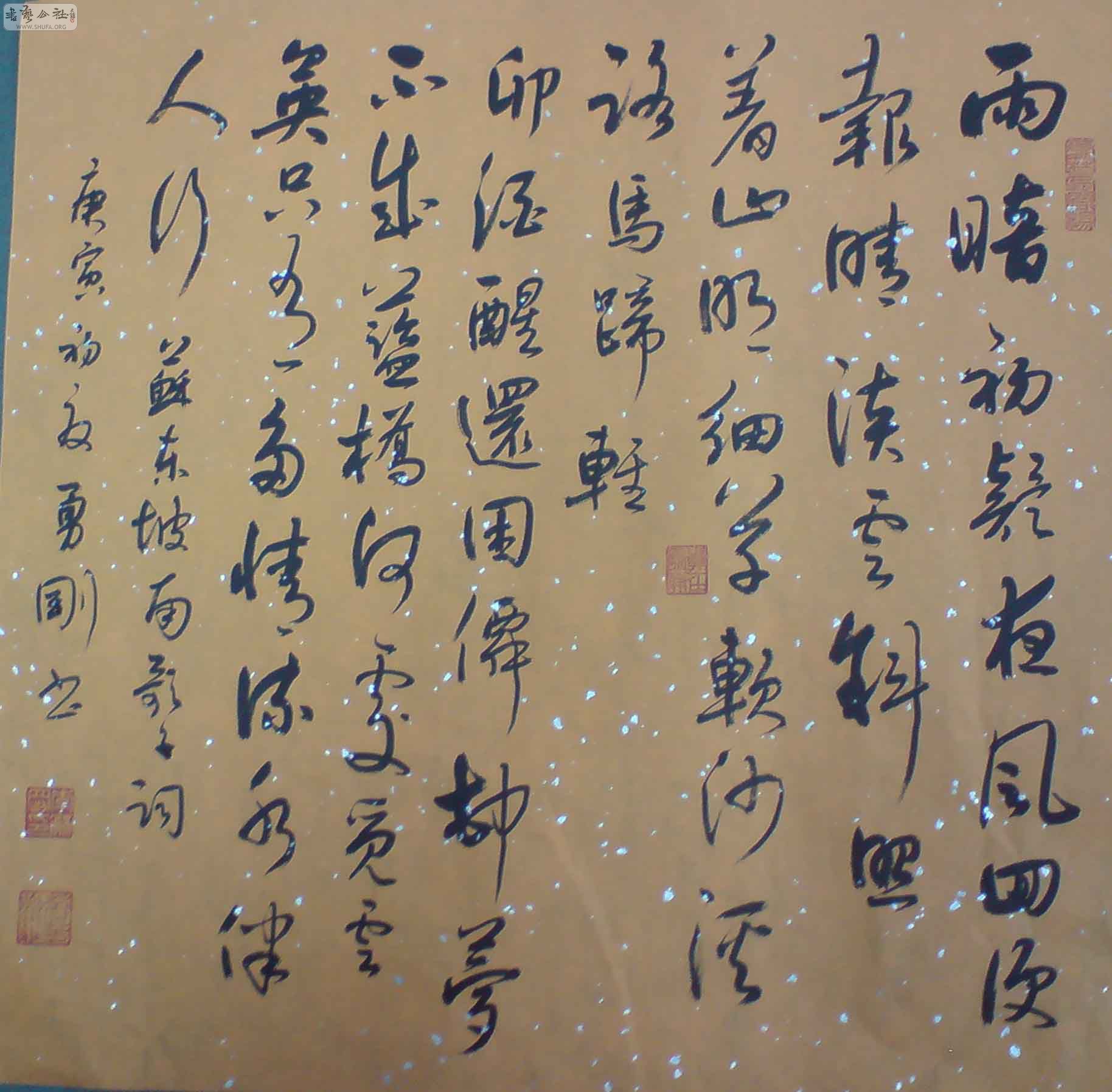 DSC00212.JPG