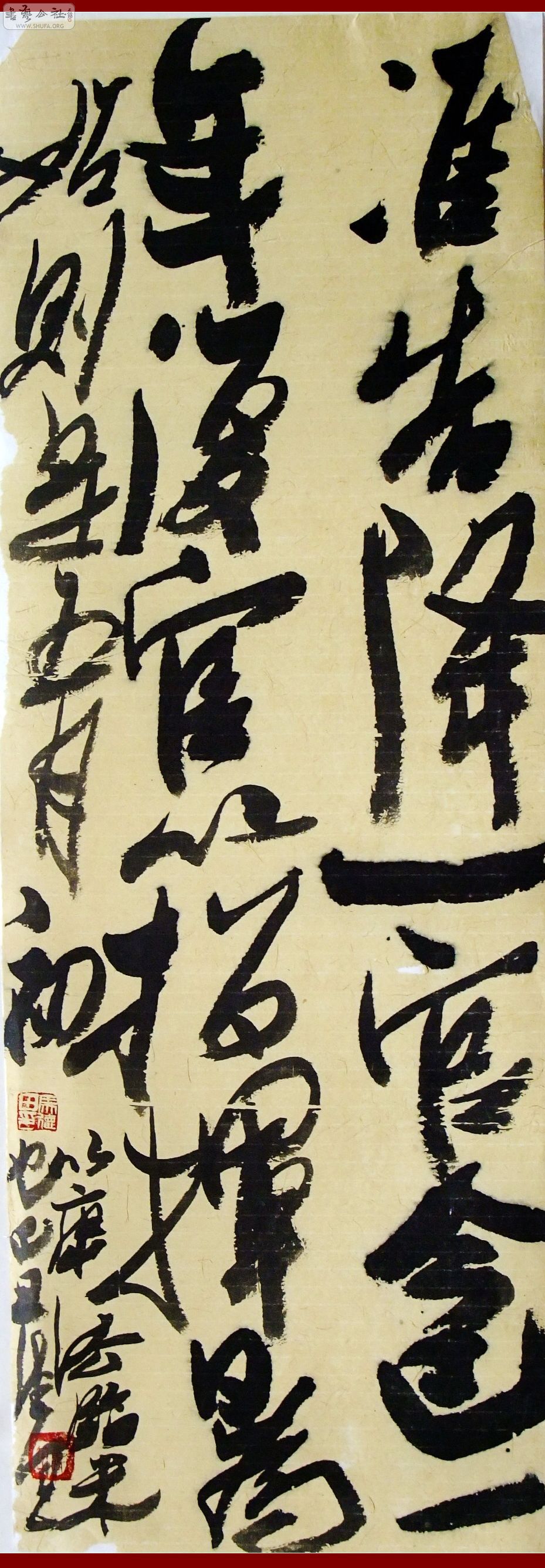 DSCF5043_conew1.jpg