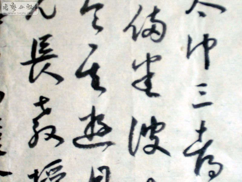 Զ黭 043.jpg