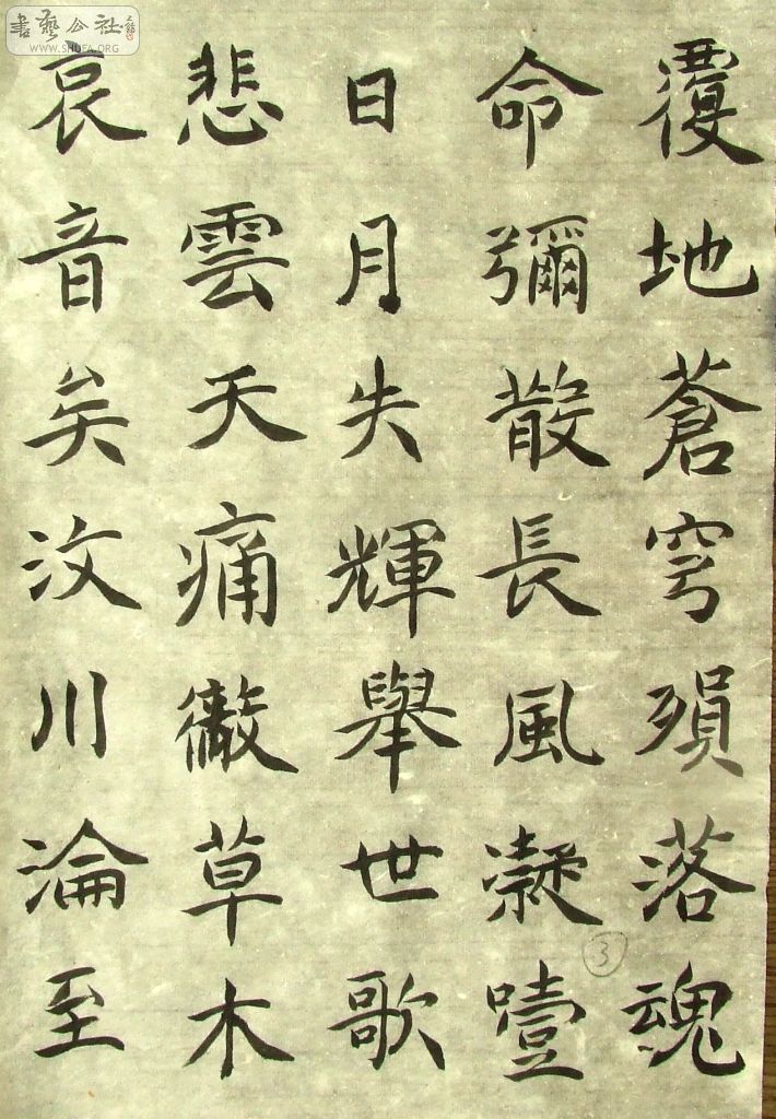 DSCF0918.JPG