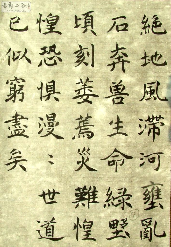 DSCF0919.JPG