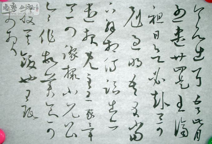 DSC02800.JPG