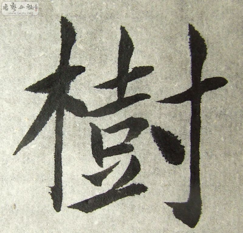 DSCF0860.JPG