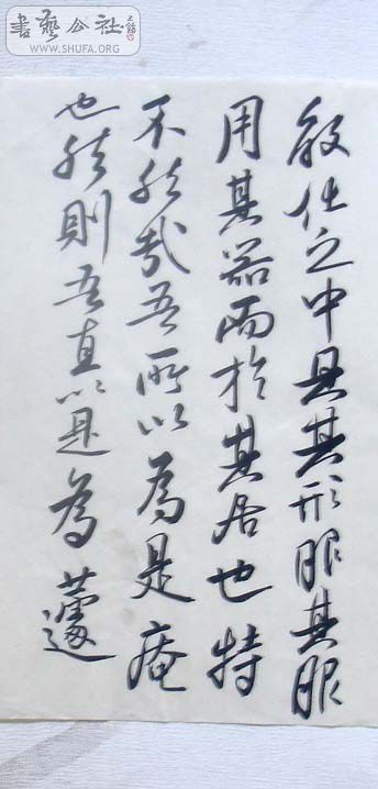 DSC01317.JPG