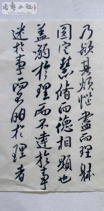 DSC01312.JPG