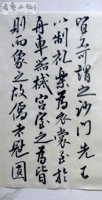 DSC01313.JPG