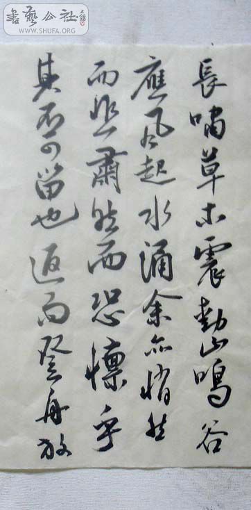 DSC01318.JPG
