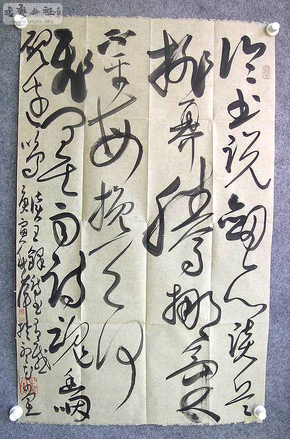 DSC00956.jpg