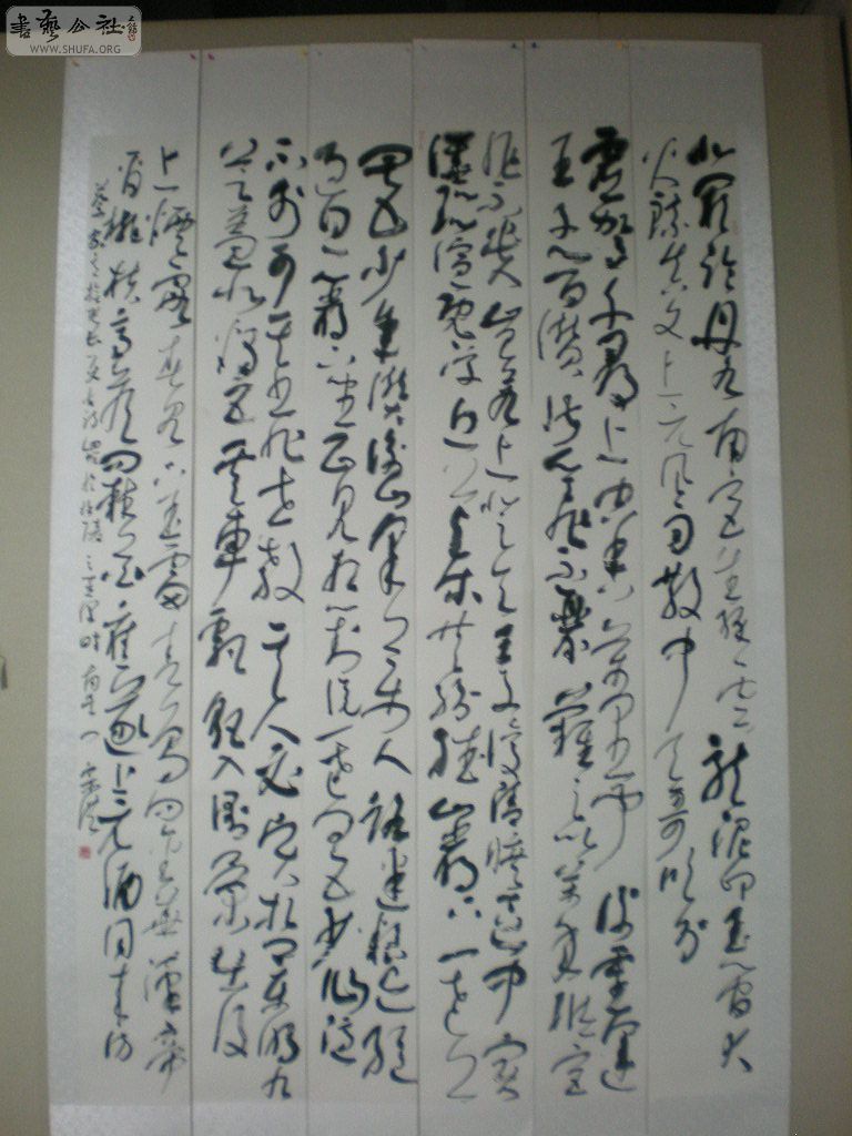 DSCN9206.JPG