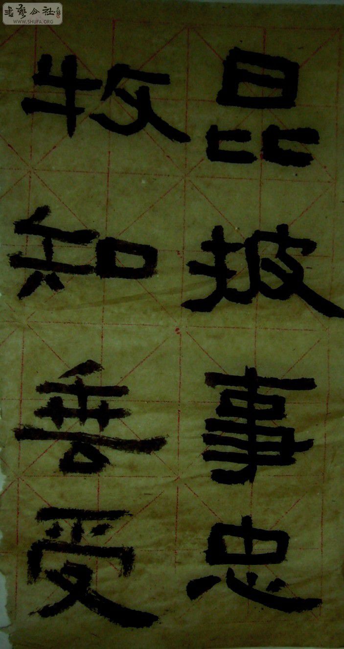 P1060238.JPG