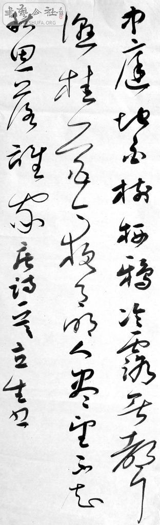 DSCF1214.JPG