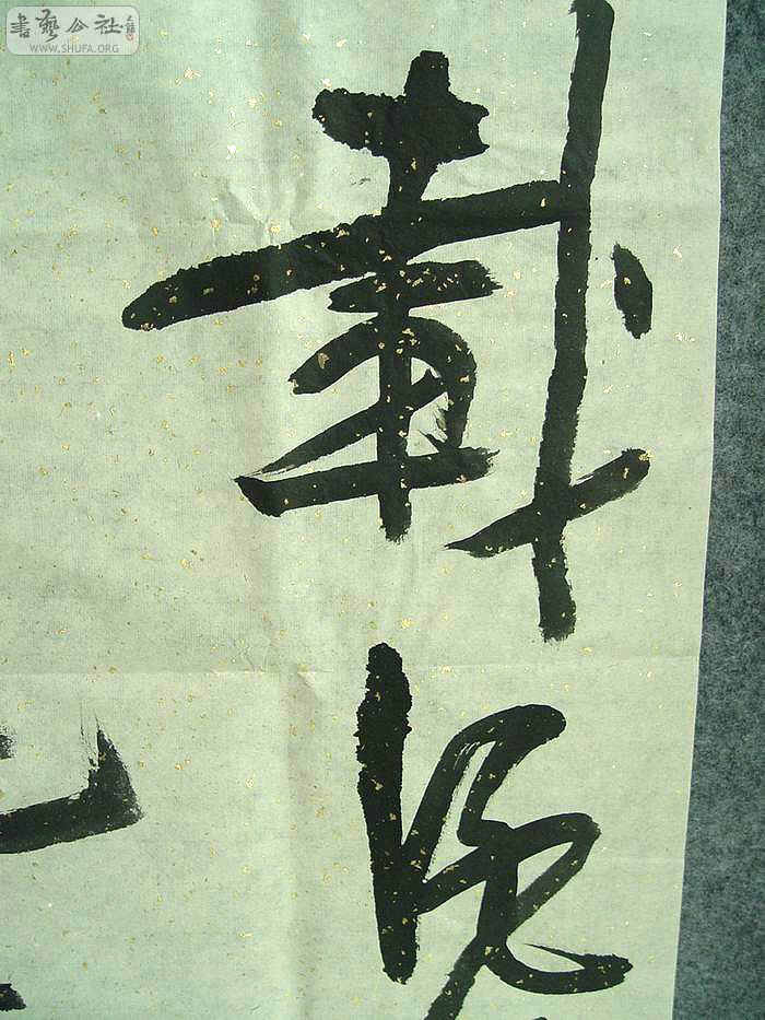 DSC00570.jpg