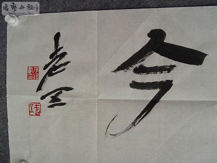 DSC00600.jpg