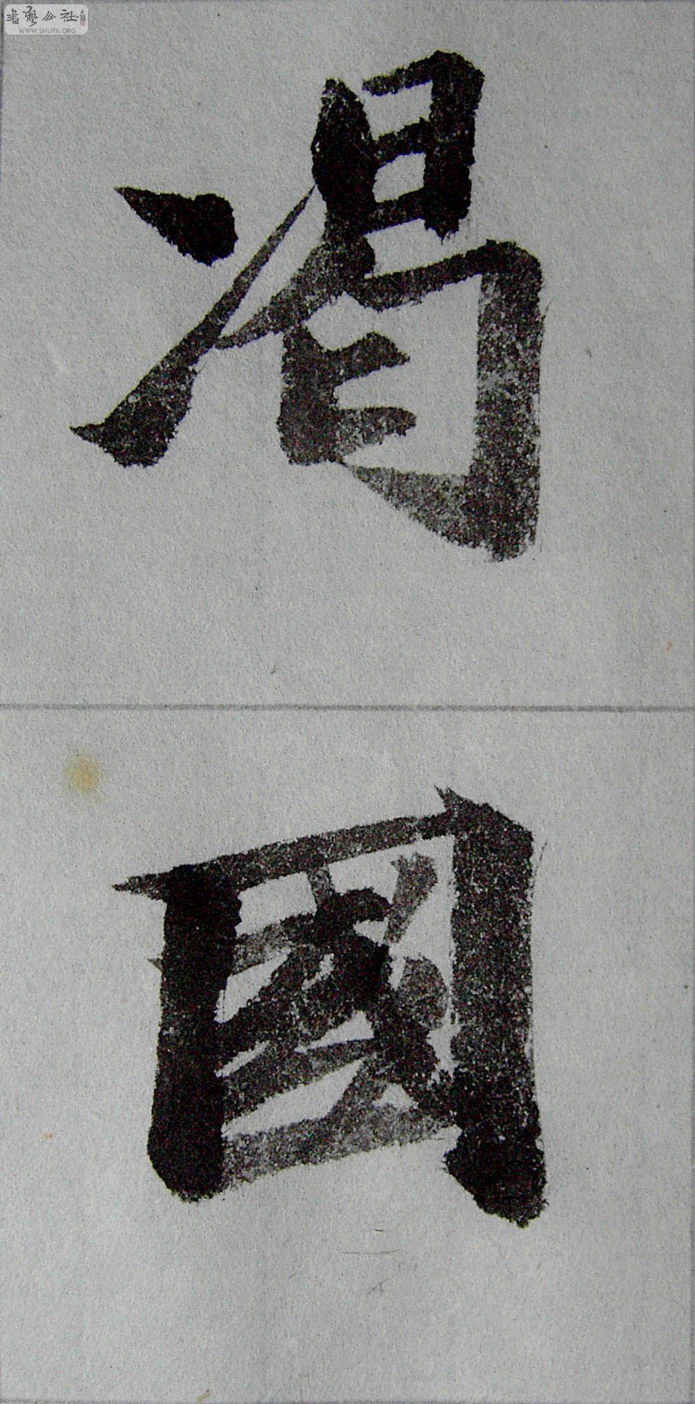 PICT3336.jpg