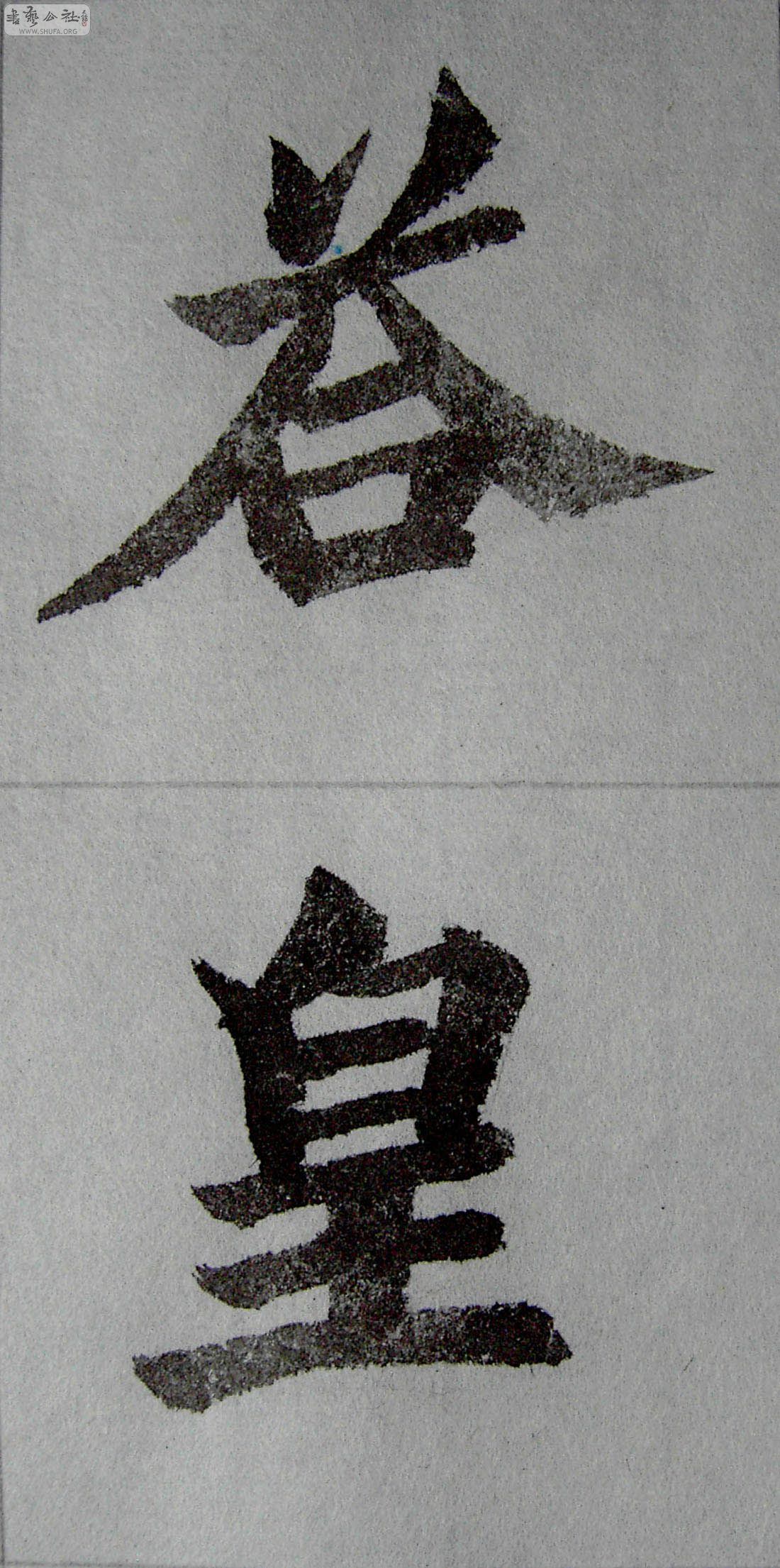 PICT3339.jpg