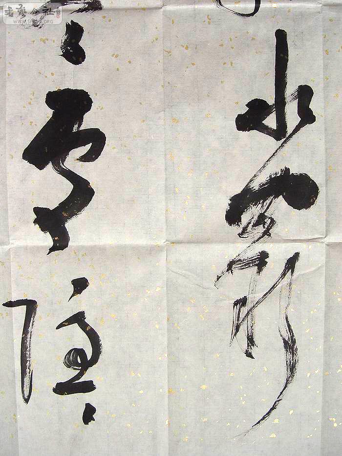 DSC01285.jpg