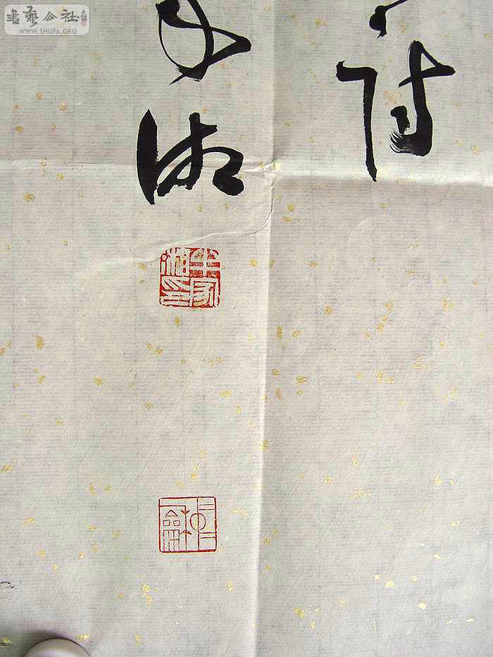 DSC01287.jpg