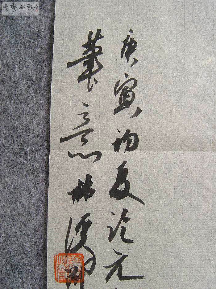 DSC01337.jpg