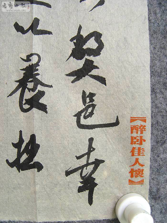 DSC01343.jpg