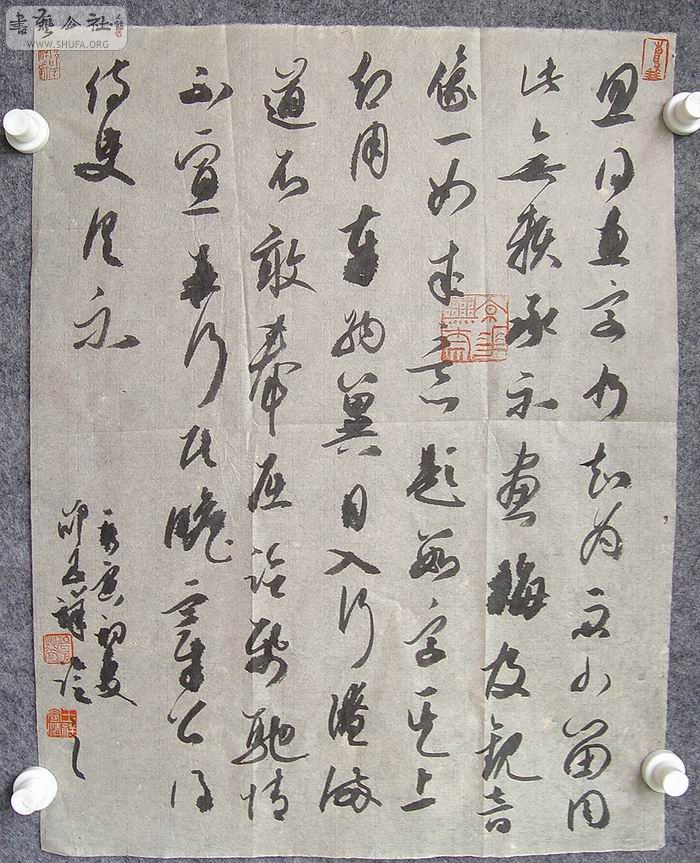 DSC01352.jpg