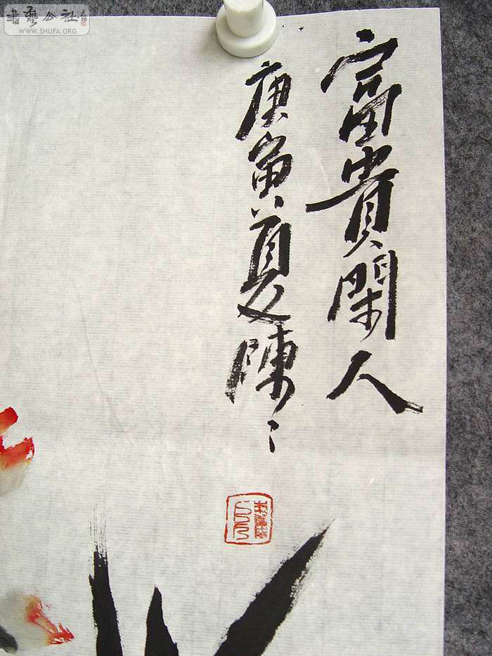 DSC01385.jpg