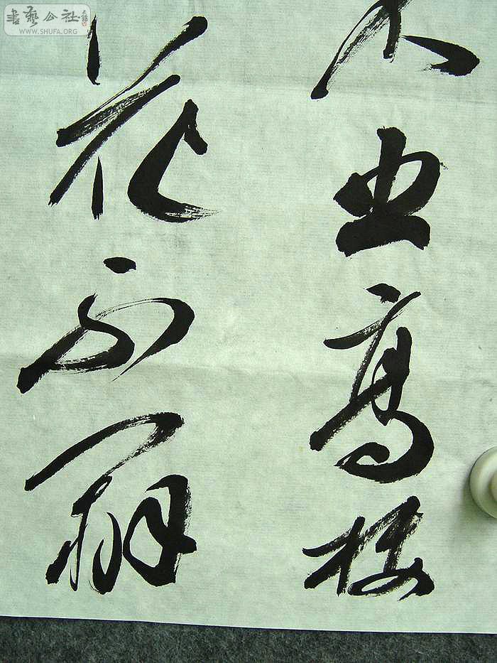 DSC01449.jpg
