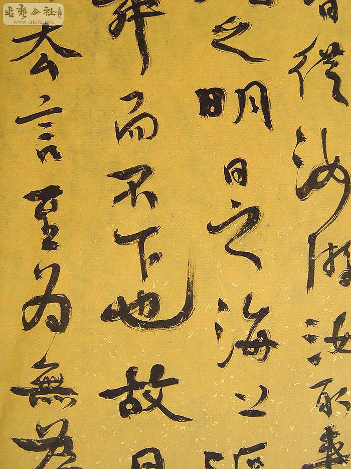 DSC01488.jpg