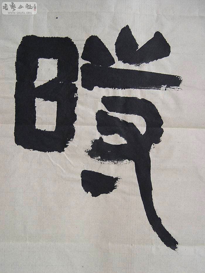 DSC01493.jpg