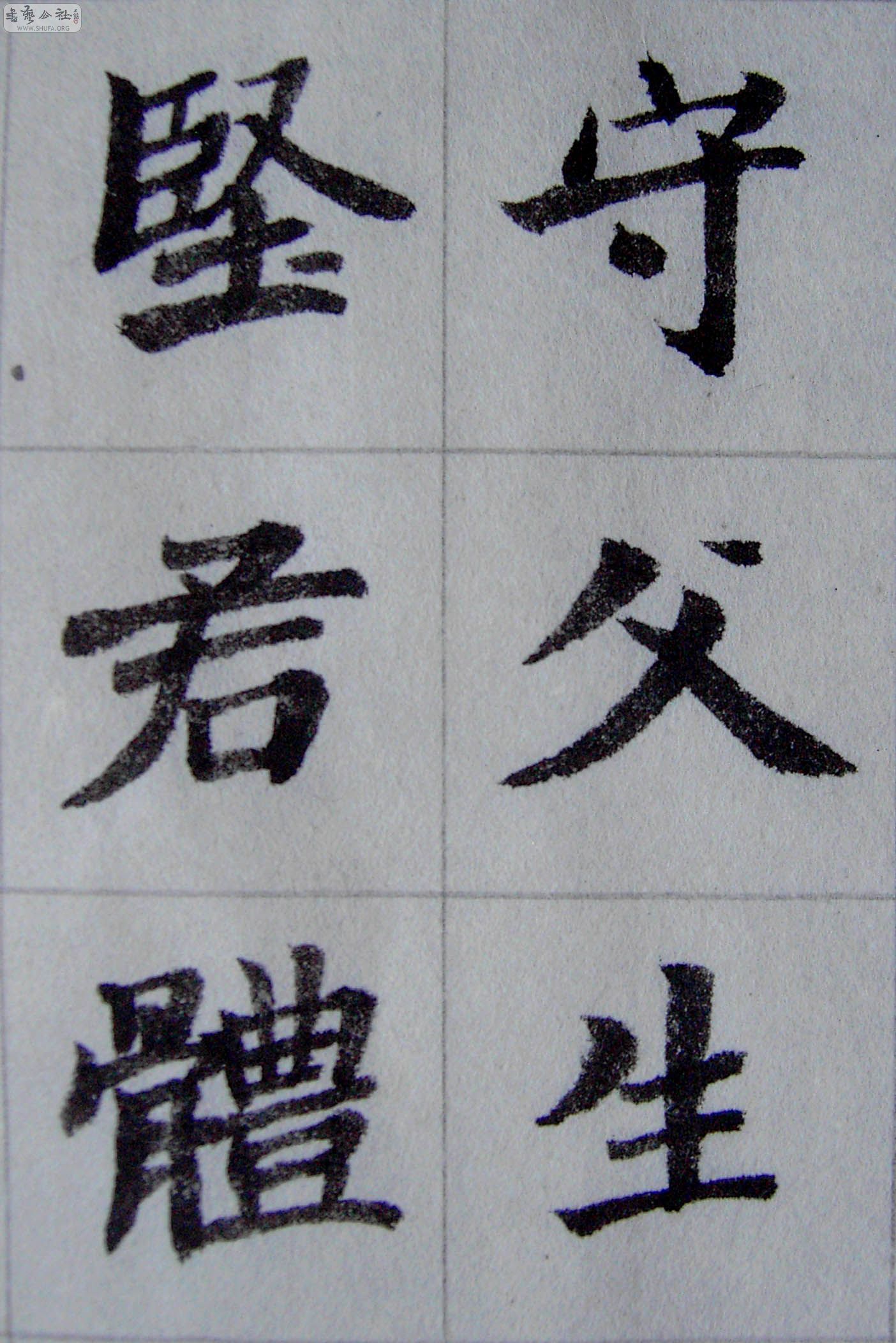 PICT3447.JPG