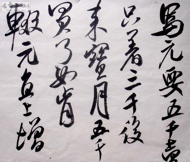 DSC01480.JPG