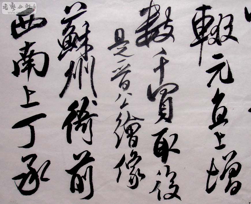 DSC01481.JPG