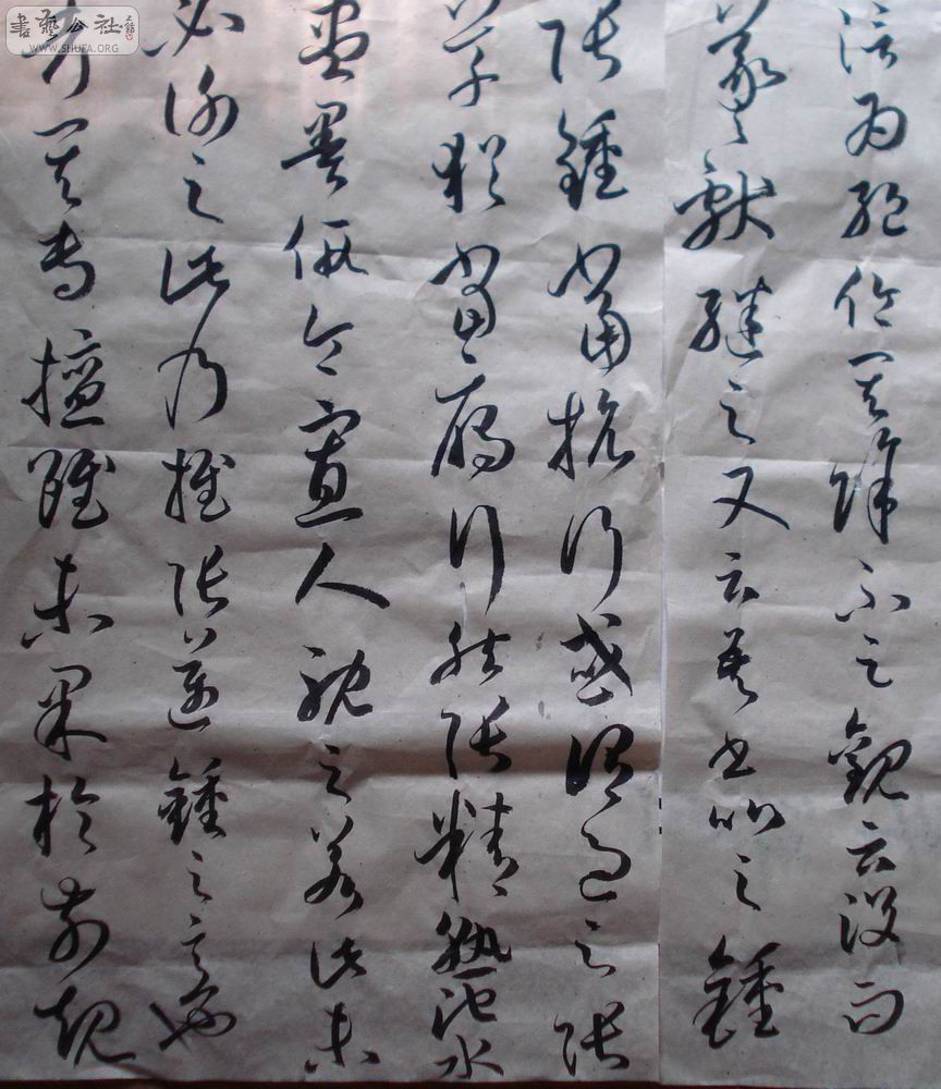 DSC01490.JPG