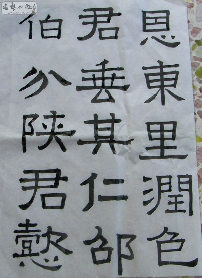 RIMG0439.JPG