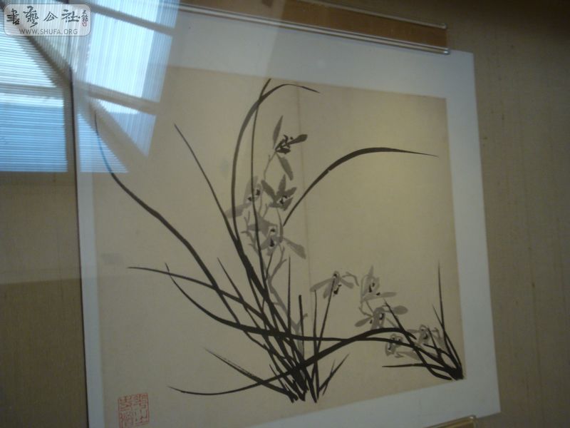 DSC00980.JPG